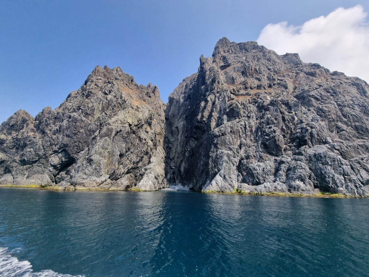 Аскольд, Путятинина и лежбище морских львов: фототур на катере! — изображение 17