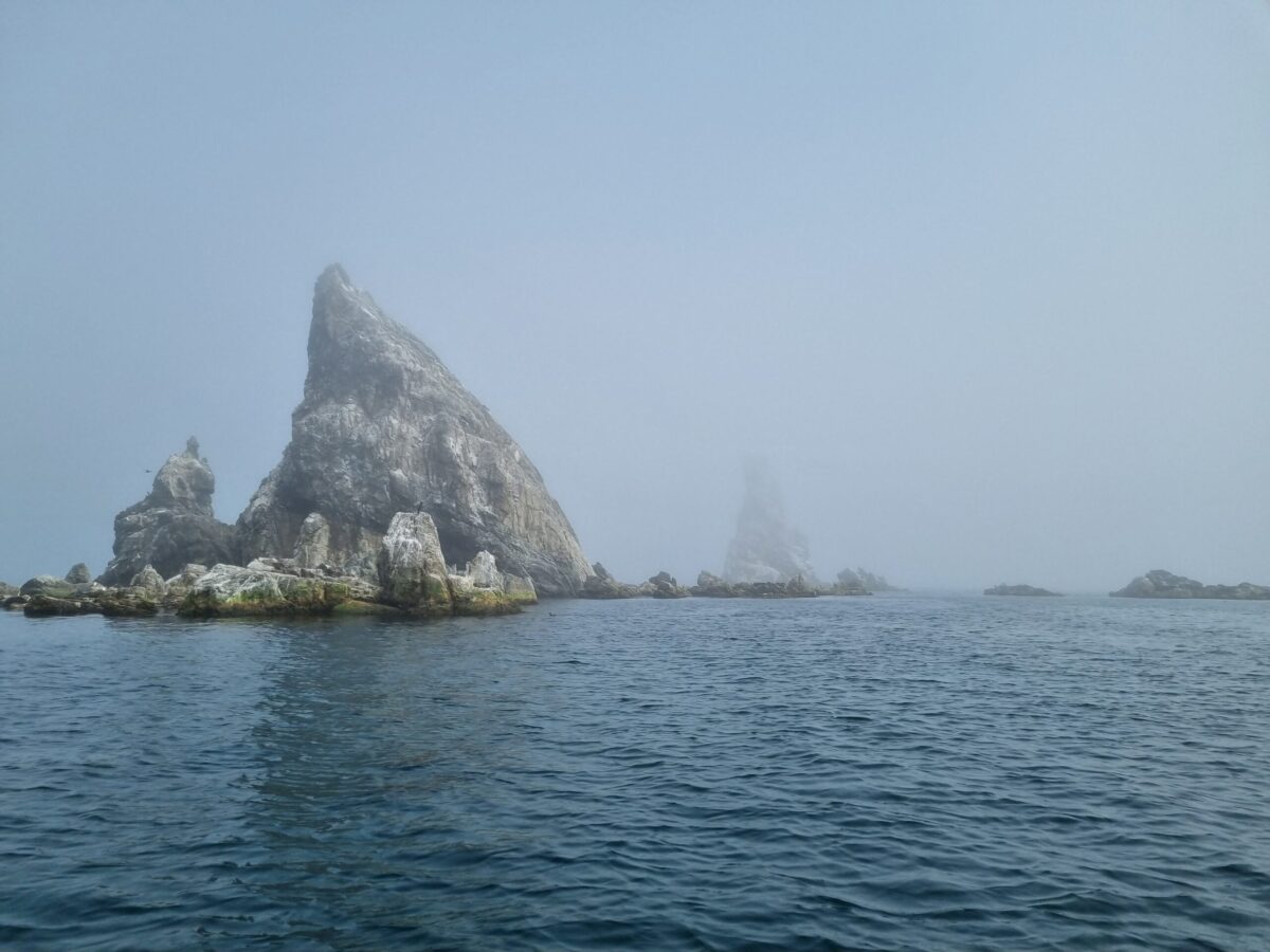 Аскольд, Путятинина и лежбище морских львов: фототур на катере! — изображение 8