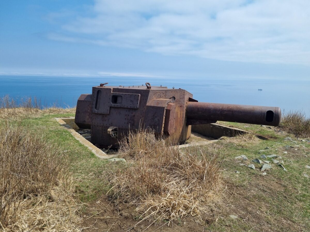 Аскольд, Путятинина и лежбище морских львов: фототур на катере! — изображение 10