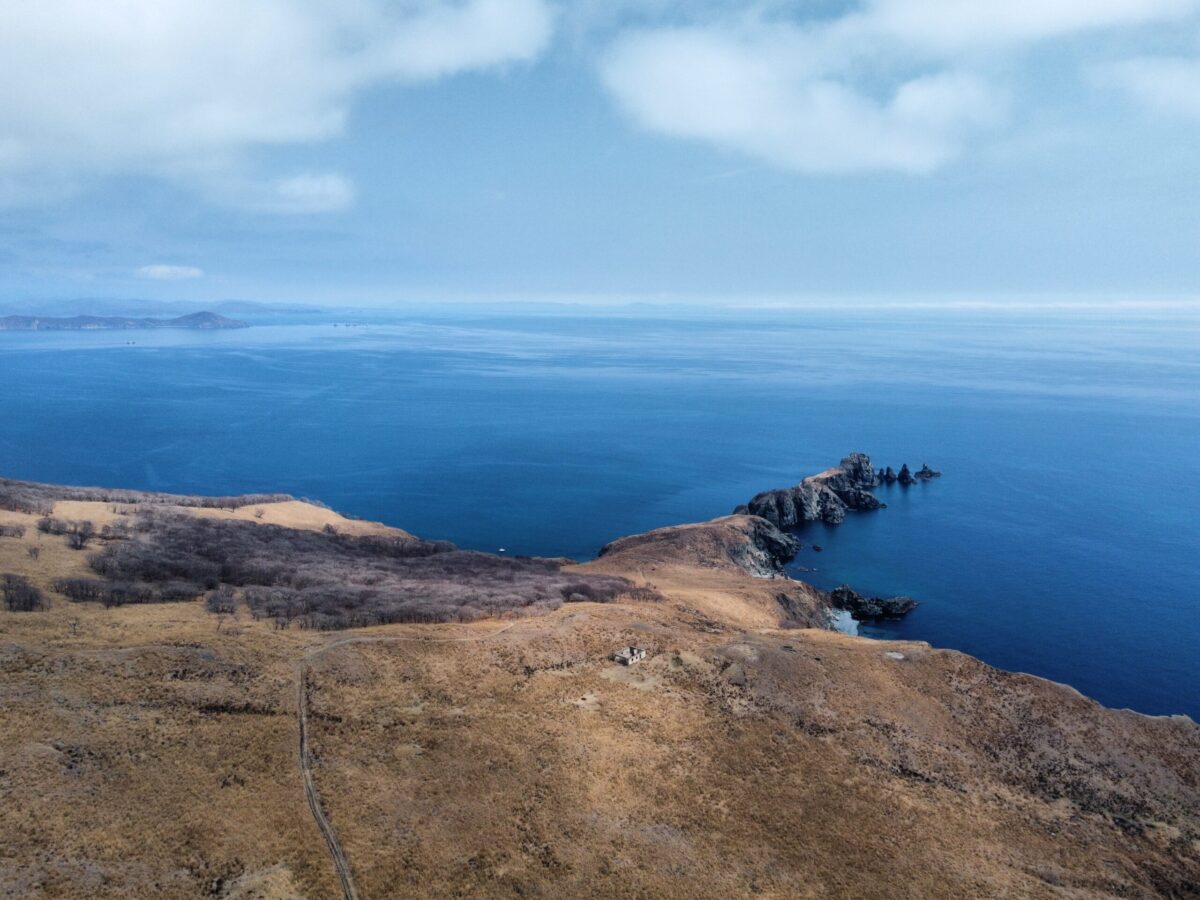 Аскольд, Путятинина и лежбище морских львов: фототур на катере! — изображение 7