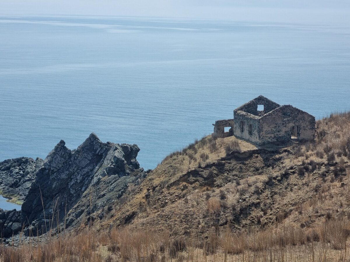 Аскольд, Путятинина и лежбище морских львов: фототур на катере! — изображение 5