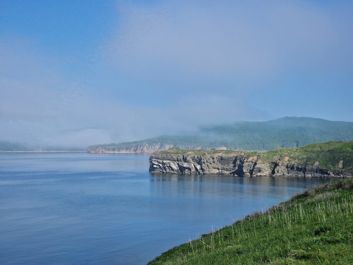 Морские панорамы и хищники Приморья: день на Русском острове и в сафари-парке — изображение 3