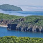 Морские панорамы и хищники Приморья: день на Русском острове и в сафари-парке